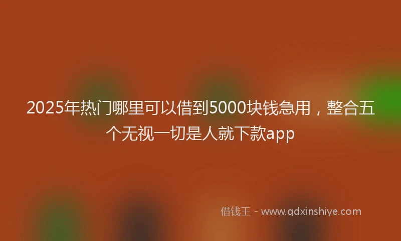 2025年热门哪里可以借到5000块钱急用，整合五个无视一切是人就下款app