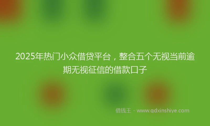 2025年热门小众借贷平台，整合五个无视当前逾期无视征信的借款口子