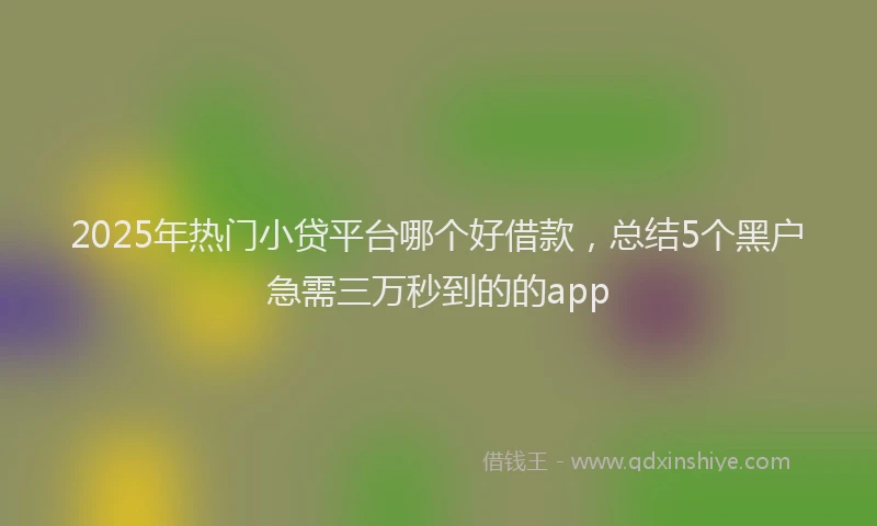 2025年热门小贷平台哪个好借款，总结5个黑户急需三万秒到的的app