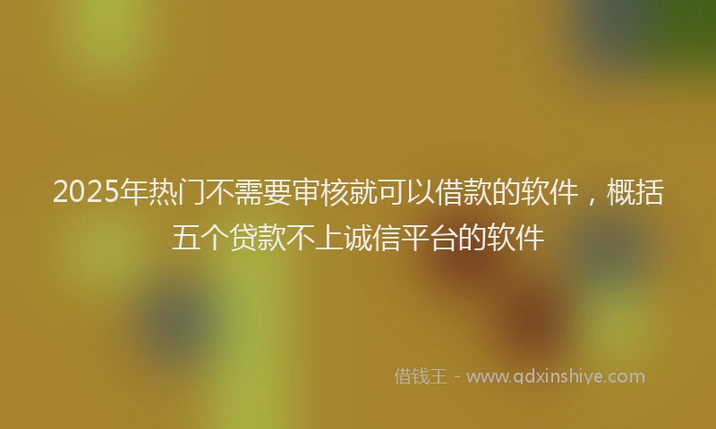 2025年热门不需要审核就可以借款的软件，概括五个贷款不上诚信平台的软件