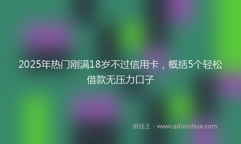 2025年热门刚满18岁不过信用卡，概括5个轻松借款无压力口子