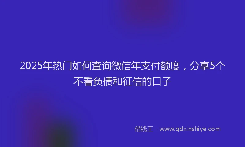 2025年热门如何查询微信年支付额度，分享5个不看负债和征信的口子
