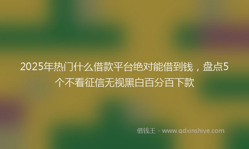 2025年热门什么借款平台绝对能借到钱，盘点5个不看征信无视黑白百分百下款