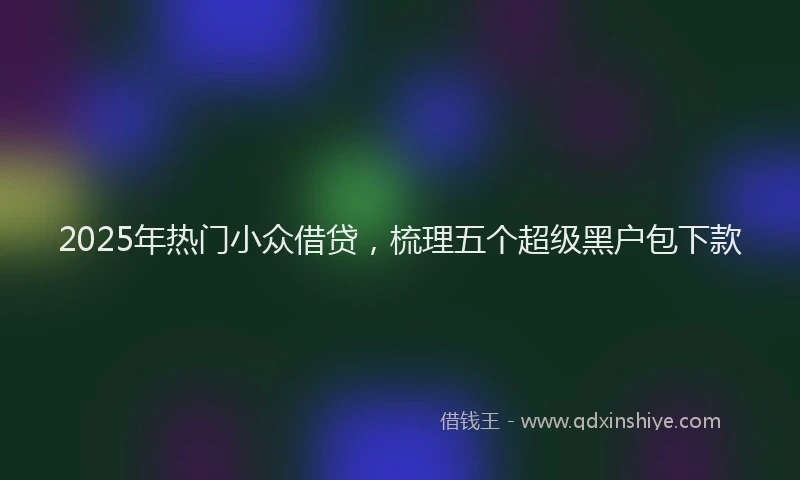 2025年热门小众借贷，梳理五个超级黑户包下款