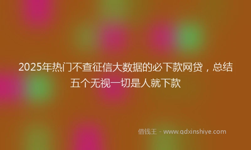 2025年热门不查征信大数据的必下款网贷，总结五个无视一切是人就下款