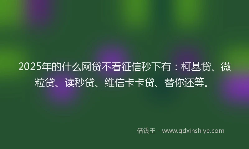 2025年的什么网贷不看征信秒下有：柯基贷、微粒贷、读秒贷、维信卡卡贷、替你还等。
