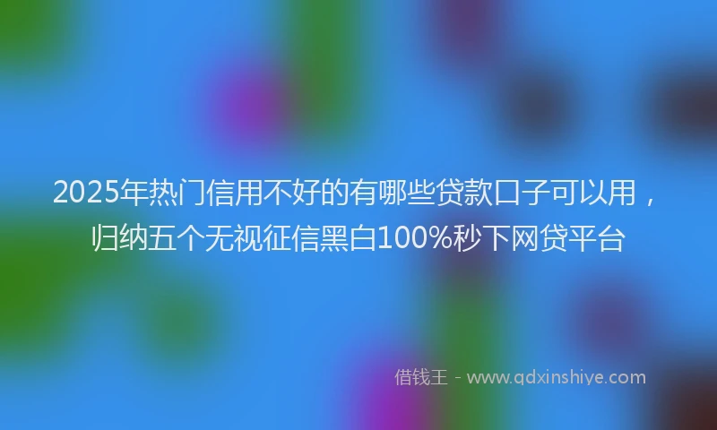 2025年热门信用不好的有哪些贷款口子可以用，归纳五个无视征信黑白100%秒下网贷平台