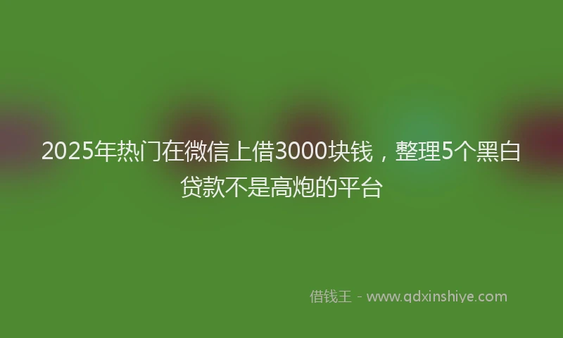 2025年热门在微信上借3000块钱，整理5个黑白贷款不是高炮的平台