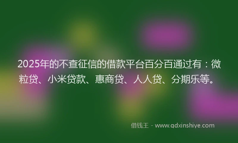 2025年的不查征信的借款平台百分百通过有：微粒贷、小米贷款、惠商贷、人人贷、分期乐等。
