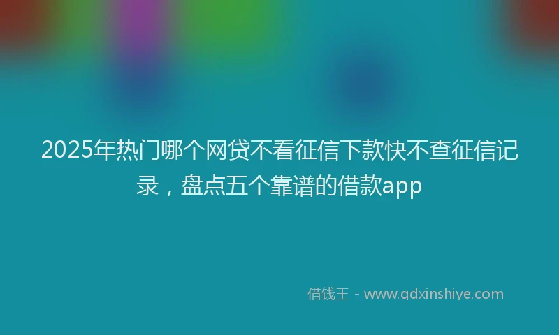 2025年热门哪个网贷不看征信下款快不查征信记录，盘点五个靠谱的借款app