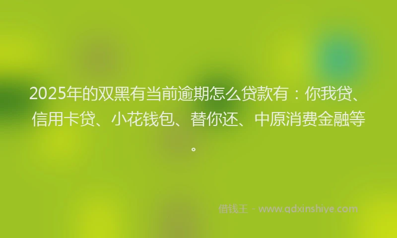 2025年的双黑有当前逾期怎么贷款有：你我贷、信用卡贷、小花钱包、替你还、中原消费金融等。