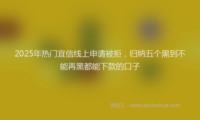 2025年热门宜信线上申请被拒，归纳五个黑到不能再黑都能下款的口子