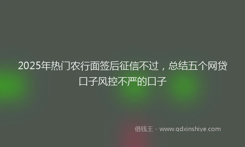 2025年热门农行面签后征信不过，总结五个网贷口子风控不严的口子
