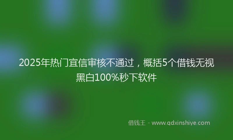 2025年热门宜信审核不通过，概括5个借钱无视黑白100%秒下软件