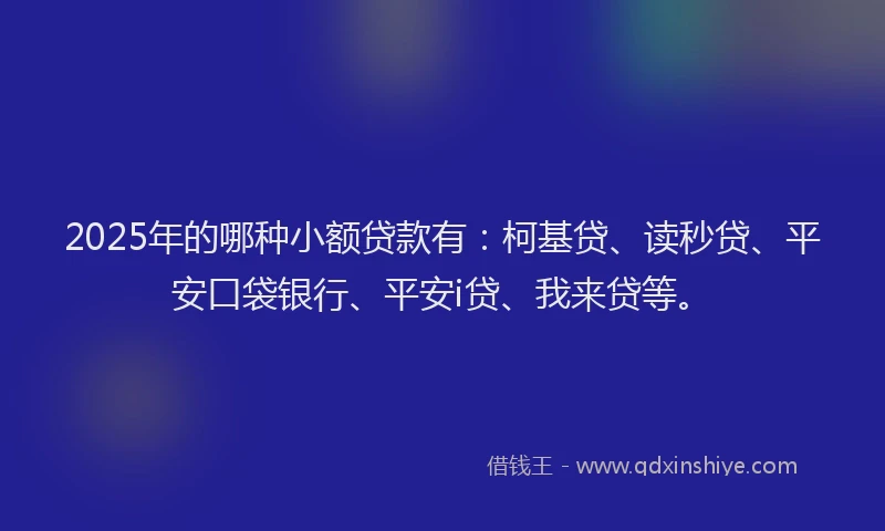 2025年的哪种小额贷款有：柯基贷、读秒贷、平安口袋银行、平安i贷、我来贷等。