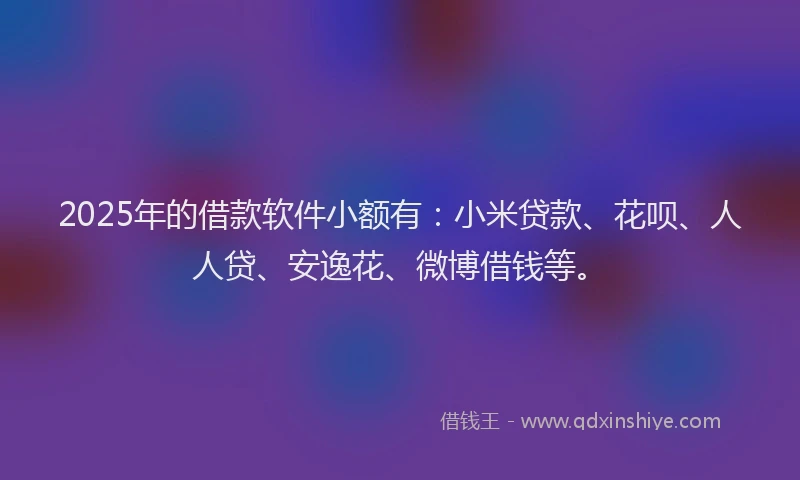 2025年的借款软件小额有：小米贷款、花呗、人人贷、安逸花、微博借钱等。