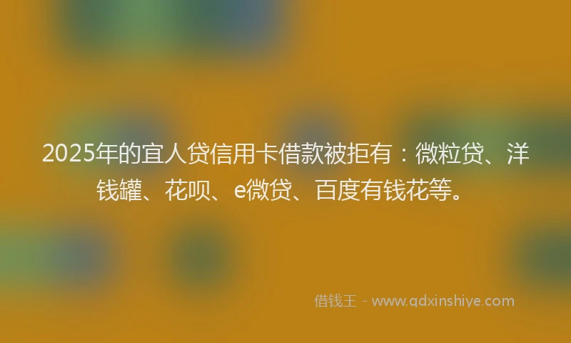 2025年的宜人贷信用卡借款被拒有：微粒贷、洋钱罐、花呗、e微贷、百度有钱花等。
