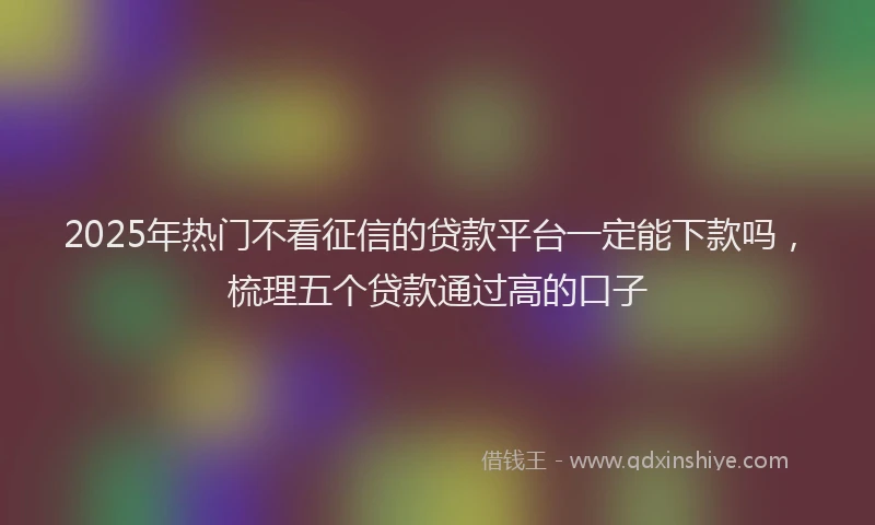 2025年热门不看征信的贷款平台一定能下款吗，梳理五个贷款通过高的口子