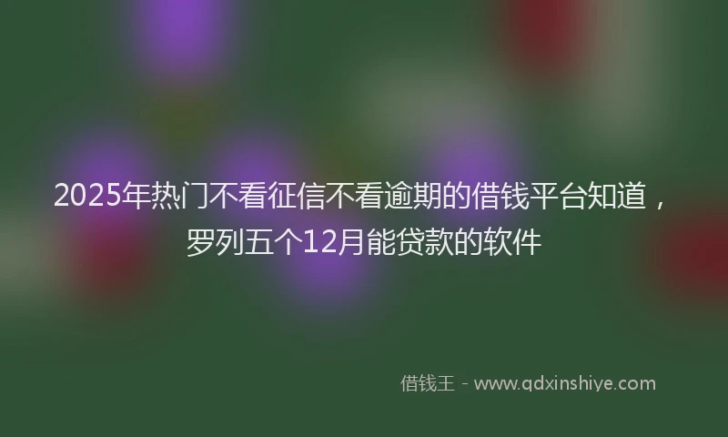 2025年热门不看征信不看逾期的借钱平台知道，罗列五个12月能贷款的软件