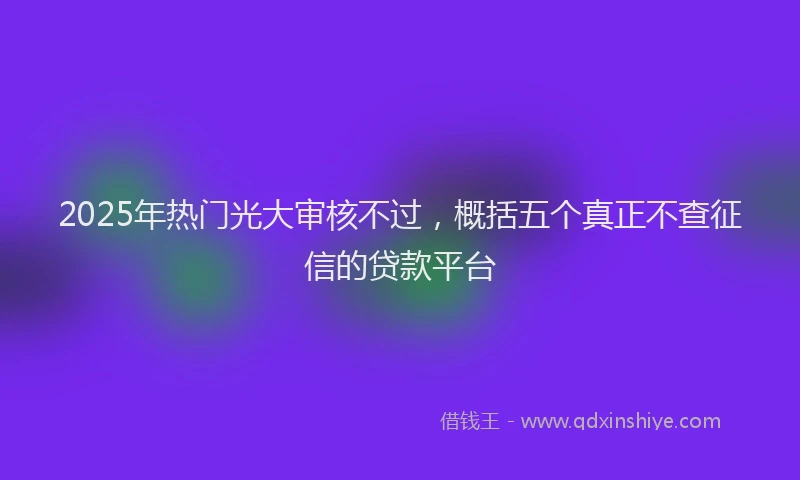 2025年热门光大审核不过，概括五个真正不查征信的贷款平台