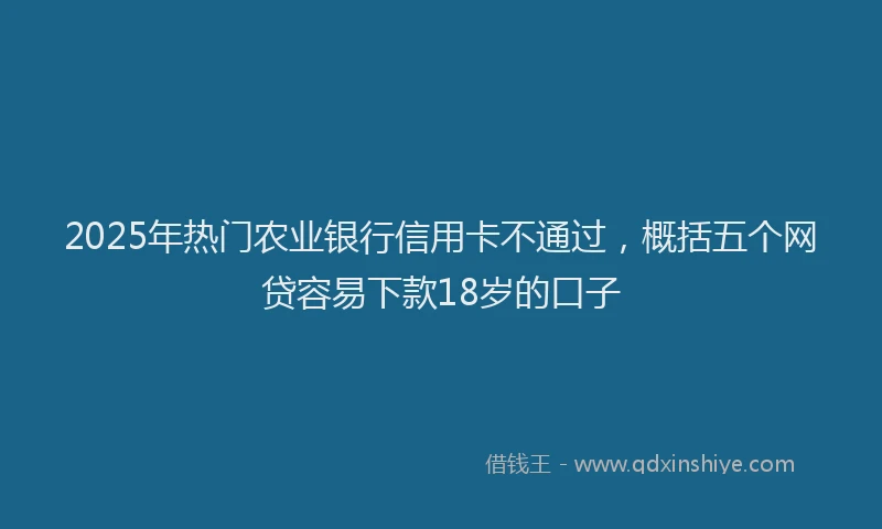 2025年热门农业银行信用卡不通过，概括五个网贷容易下款18岁的口子
