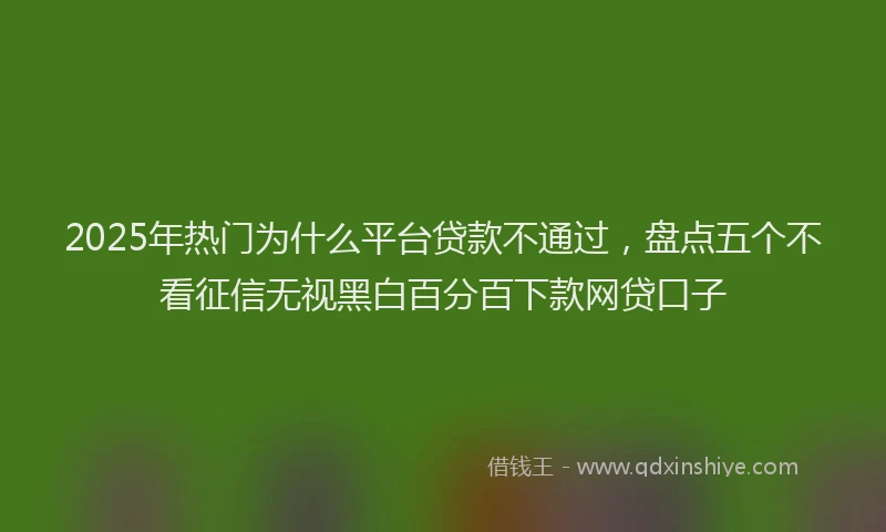 2025年热门为什么平台贷款不通过，盘点五个不看征信无视黑白百分百下款网贷口子
