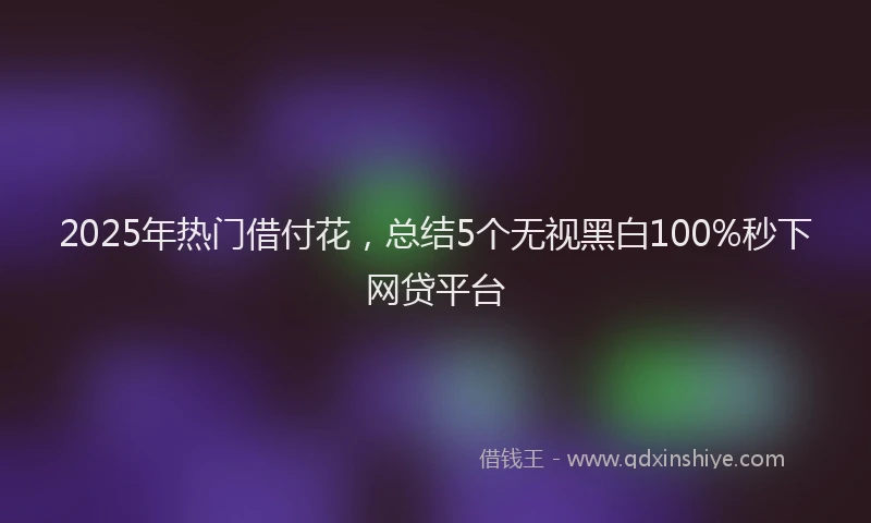 2025年热门借付花，总结5个无视黑白100%秒下网贷平台