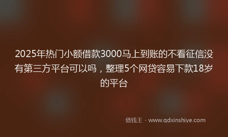 2025年热门小额借款3000马上到账的不看征信没有第三方平台可以吗,整理5个网贷容易下款18岁的平台