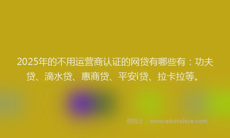 2025年的不用运营商认证的网贷有哪些有：功夫贷、滴水贷、惠商贷、平安i贷、拉卡拉等。