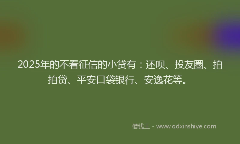 2025年的不看征信的小贷有：还呗、投友圈、拍拍贷、平安口袋银行、安逸花等。