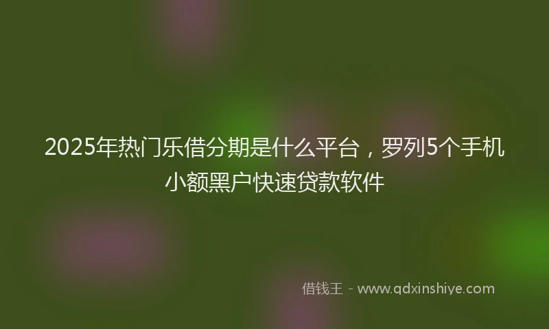 2025年热门乐借分期是什么平台，罗列5个手机小额黑户快速贷款软件