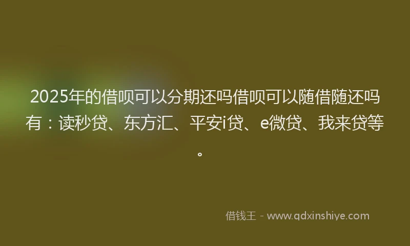 2025年的借呗可以分期还吗借呗可以随借随还吗有：读秒贷、东方汇、平安i贷、e微贷、我来贷等。
