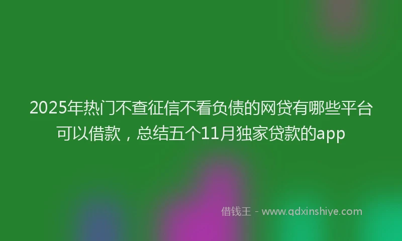 2025年热门不查征信不看负债的网贷有哪些平台可以借款，总结五个11月独家贷款的app