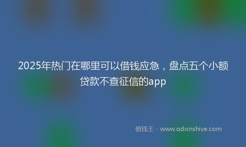 2025年热门在哪里可以借钱应急，盘点五个小额贷款不查征信的app