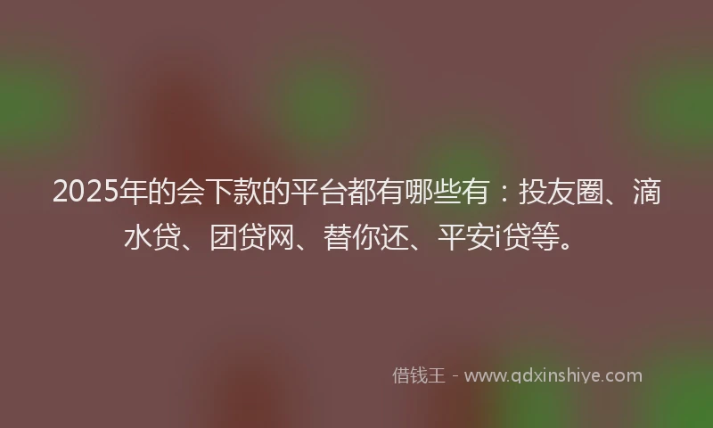 2025年的会下款的平台都有哪些有：投友圈、滴水贷、团贷网、替你还、平安i贷等。