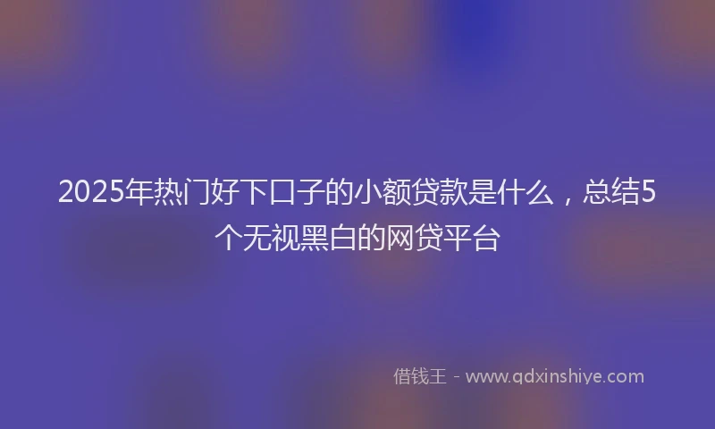 2025年热门好下口子的小额贷款是什么，总结5个无视黑白的网贷平台