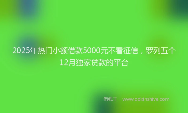 2025年热门小额借款5000元不看征信，罗列五个12月独家贷款的平台