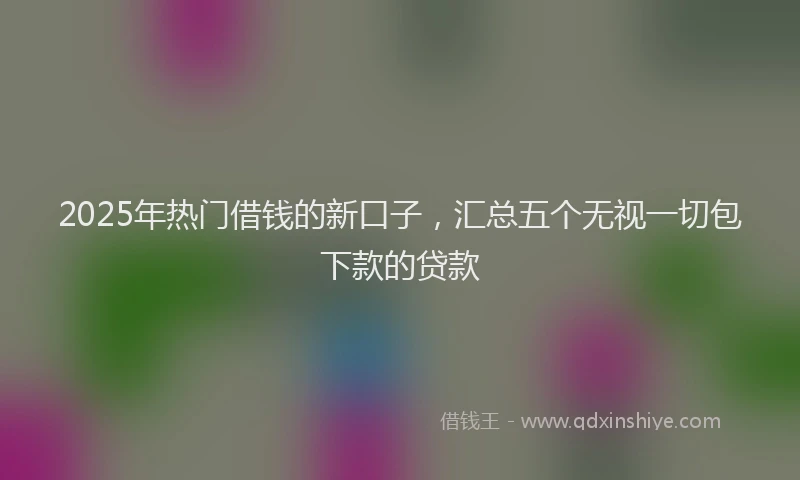 2025年热门借钱的新口子，汇总五个无视一切包下款的贷款