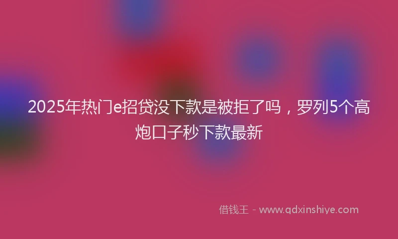 2025年热门e招贷没下款是被拒了吗，罗列5个高炮口子秒下款最新