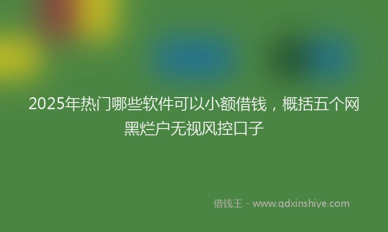 2025年热门哪些软件可以小额借钱，概括五个网黑烂户无视风控口子