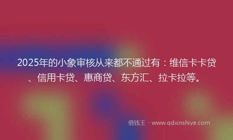 2025年的小象审核从来都不通过有：维信卡卡贷、信用卡贷、惠商贷、东方汇、拉卡拉等。