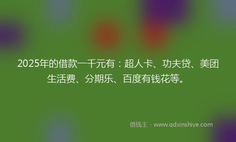 2025年的借款一千元有：超人卡、功夫贷、美团生活费、分期乐、百度有钱花等。
