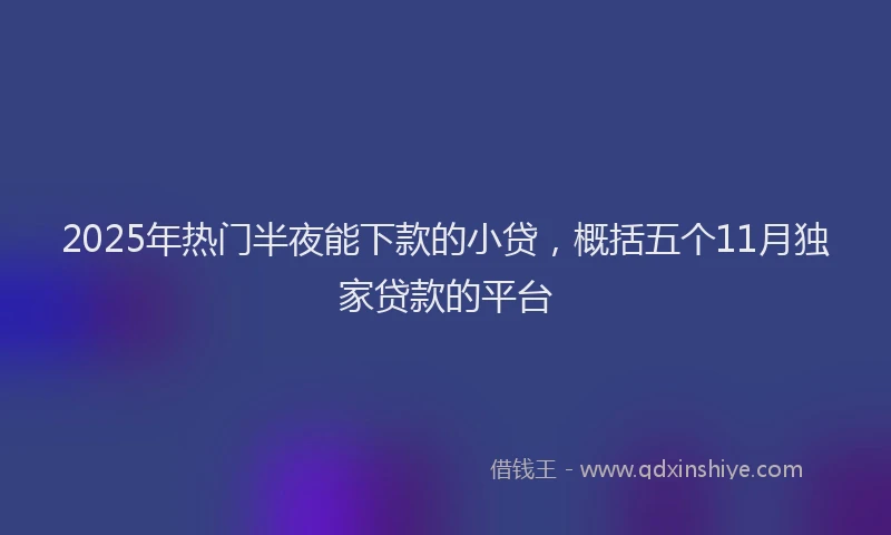 2025年热门半夜能下款的小贷，概括五个11月独家贷款的平台