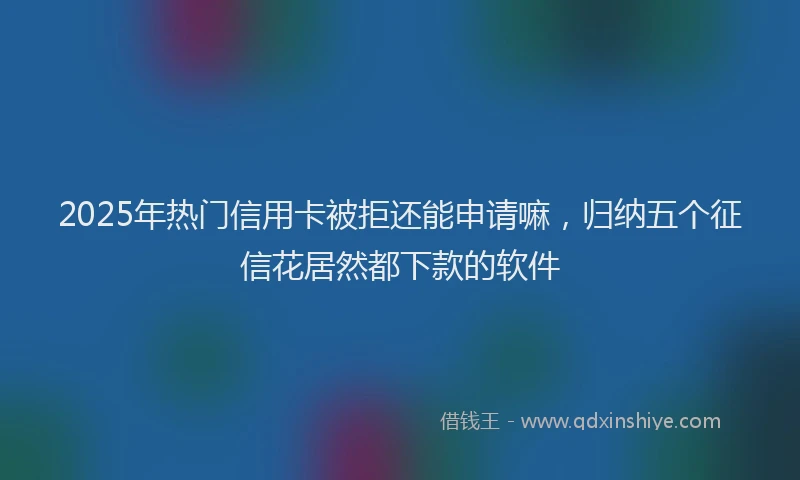 2025年热门信用卡被拒还能申请嘛，归纳五个征信花居然都下款的软件