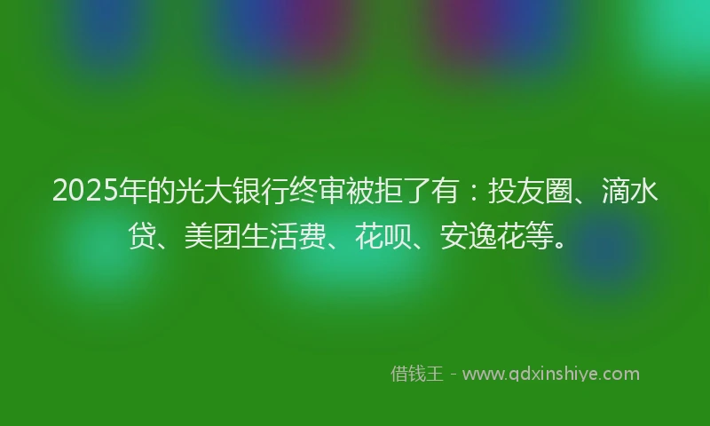 2025年的光大银行终审被拒了有：投友圈、滴水贷、美团生活费、花呗、安逸花等。