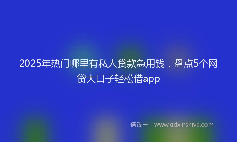 2025年热门哪里有私人贷款急用钱，盘点5个网贷大口子轻松借app