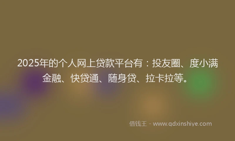 2025年的个人网上贷款平台有：投友圈、度小满金融、快贷通、随身贷、拉卡拉等。