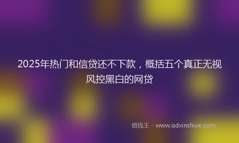 2025年热门和信贷还不下款，概括五个真正无视风控黑白的网贷