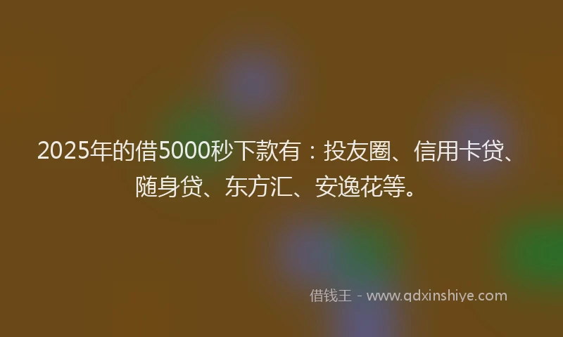 2025年的借5000秒下款有：投友圈、信用卡贷、随身贷、东方汇、安逸花等。
