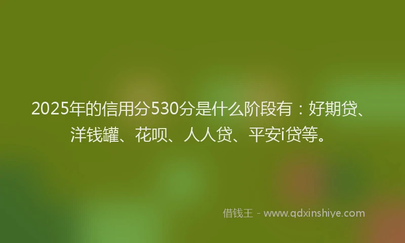 2025年的信用分530分是什么阶段有：好期贷、洋钱罐、花呗、人人贷、平安i贷等。
